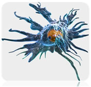Dendritic Cells Cancer Immunotherapy
